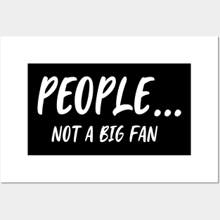 Funny People Not A Big Fan Introvert Sarcasm 3 Posters and Art
